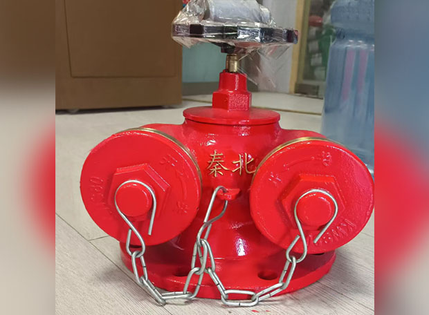 新式水泵接合器 新式水泵接合器